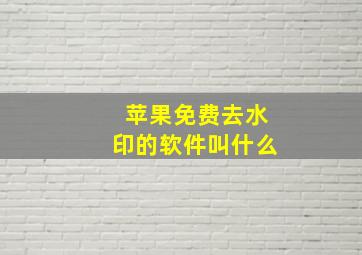 苹果免费去水印的软件叫什么