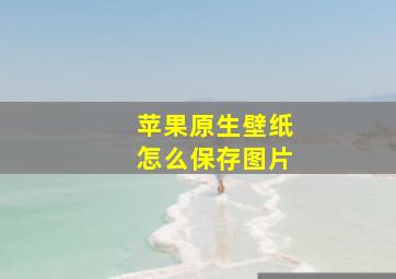 苹果原生壁纸怎么保存图片