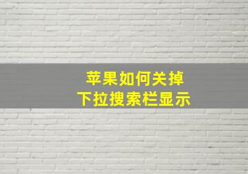 苹果如何关掉下拉搜索栏显示