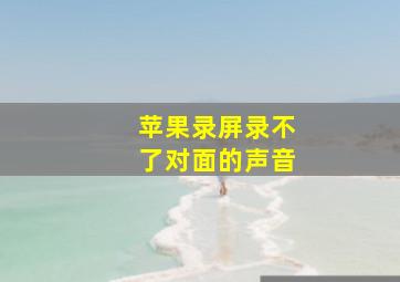 苹果录屏录不了对面的声音