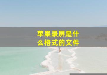 苹果录屏是什么格式的文件