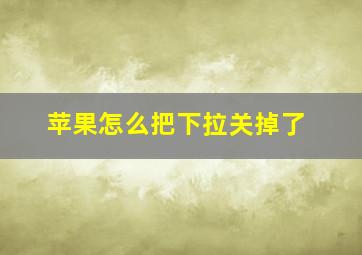 苹果怎么把下拉关掉了