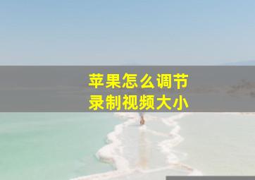 苹果怎么调节录制视频大小