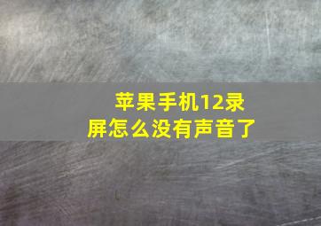 苹果手机12录屏怎么没有声音了