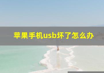 苹果手机usb坏了怎么办