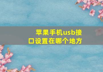 苹果手机usb接口设置在哪个地方