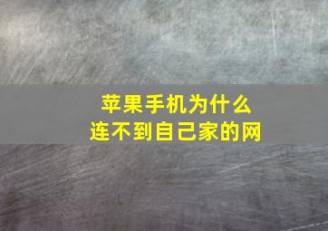 苹果手机为什么连不到自己家的网