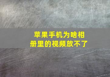 苹果手机为啥相册里的视频放不了