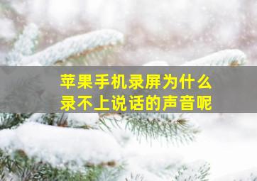 苹果手机录屏为什么录不上说话的声音呢