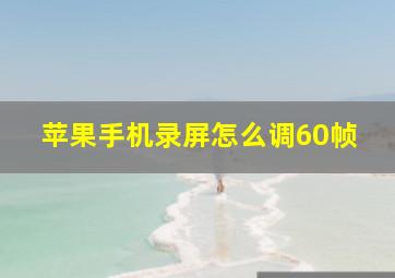 苹果手机录屏怎么调60帧