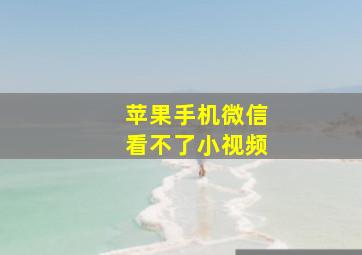 苹果手机微信看不了小视频