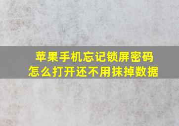 苹果手机忘记锁屏密码怎么打开还不用抹掉数据