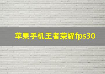 苹果手机王者荣耀fps30