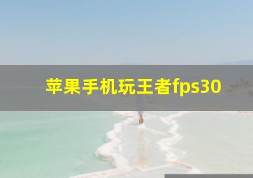 苹果手机玩王者fps30