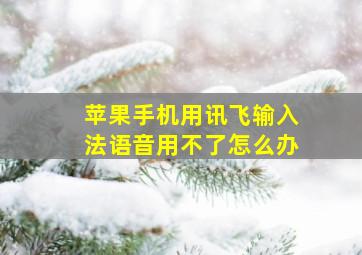 苹果手机用讯飞输入法语音用不了怎么办