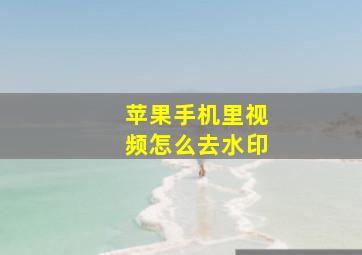 苹果手机里视频怎么去水印