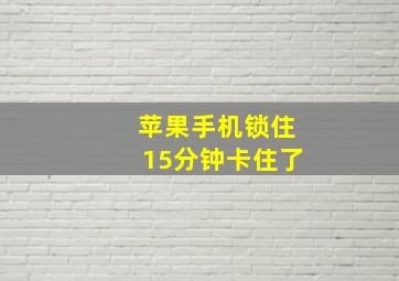 苹果手机锁住15分钟卡住了