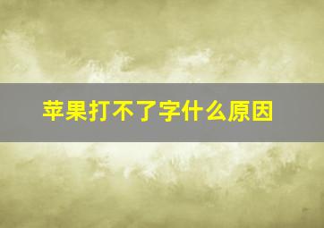 苹果打不了字什么原因