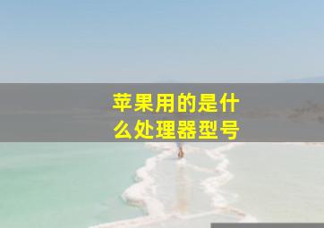 苹果用的是什么处理器型号