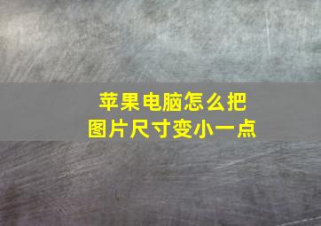 苹果电脑怎么把图片尺寸变小一点