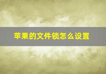 苹果的文件锁怎么设置