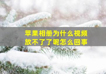 苹果相册为什么视频放不了了呢怎么回事