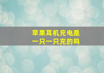 苹果耳机充电是一只一只充的吗