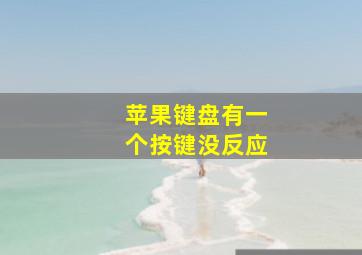 苹果键盘有一个按键没反应