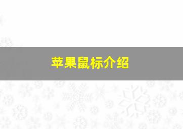 苹果鼠标介绍