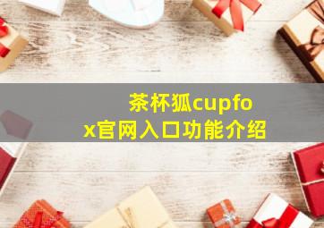 茶杯狐cupfox官网入口功能介绍