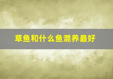 草鱼和什么鱼混养最好