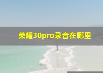 荣耀30pro录音在哪里