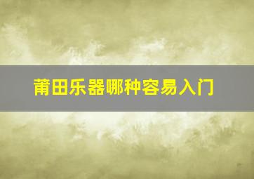 莆田乐器哪种容易入门