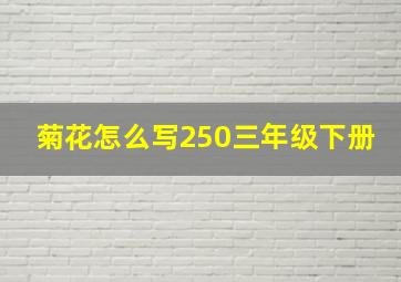 菊花怎么写250三年级下册