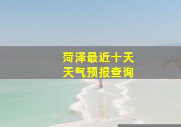 菏泽最近十天天气预报查询