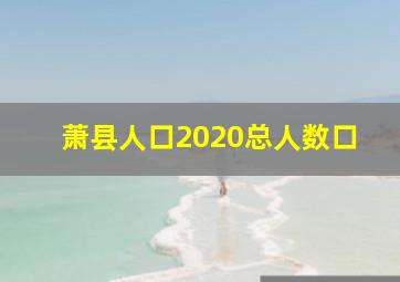 萧县人口2020总人数口