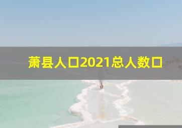 萧县人口2021总人数口