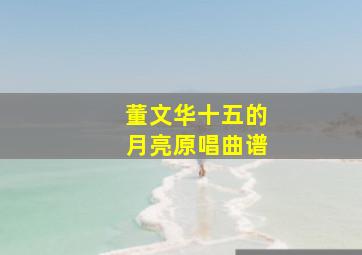 董文华十五的月亮原唱曲谱