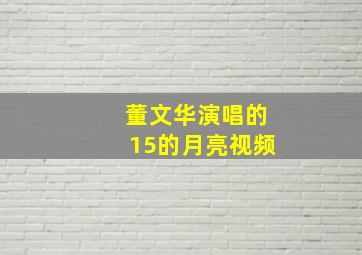 董文华演唱的15的月亮视频