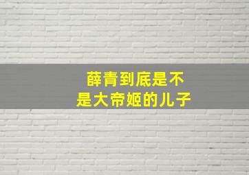 薛青到底是不是大帝姬的儿子