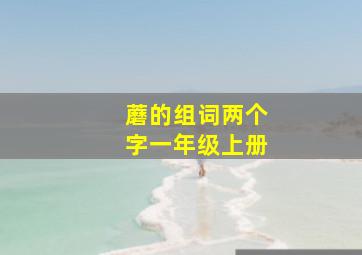 蘑的组词两个字一年级上册