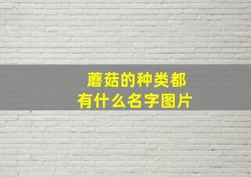 蘑菇的种类都有什么名字图片