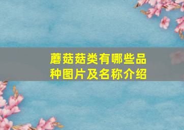 蘑菇菇类有哪些品种图片及名称介绍