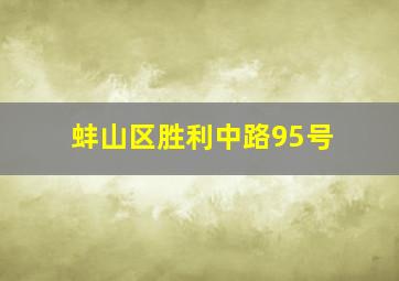 蚌山区胜利中路95号