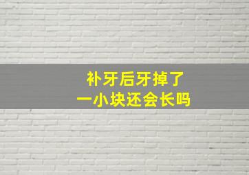 补牙后牙掉了一小块还会长吗