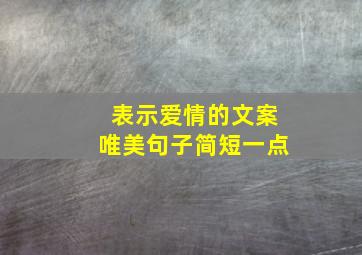 表示爱情的文案唯美句子简短一点