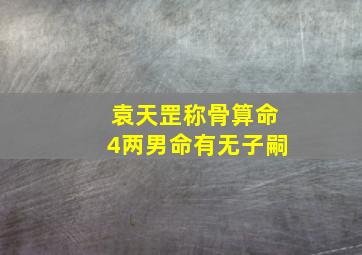 袁天罡称骨算命4两男命有无子嗣