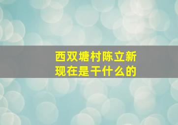 西双塘村陈立新现在是干什么的