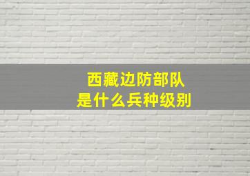 西藏边防部队是什么兵种级别