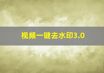 视频一键去水印3.0